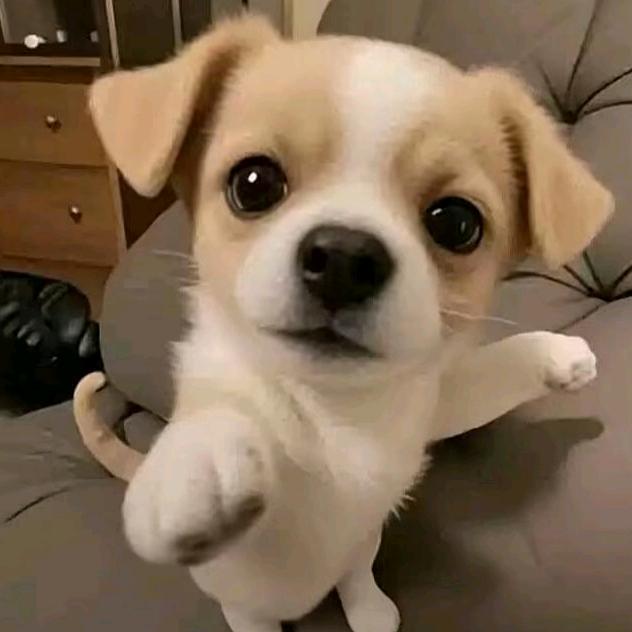 ╭( ′• o •′ )╭☞就是这个人！