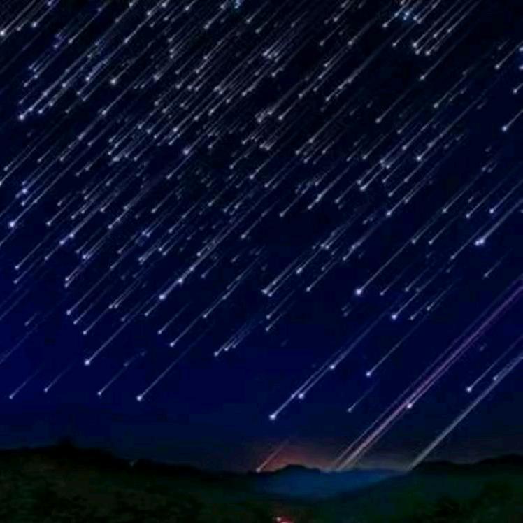 林州大网红虎虎🐯