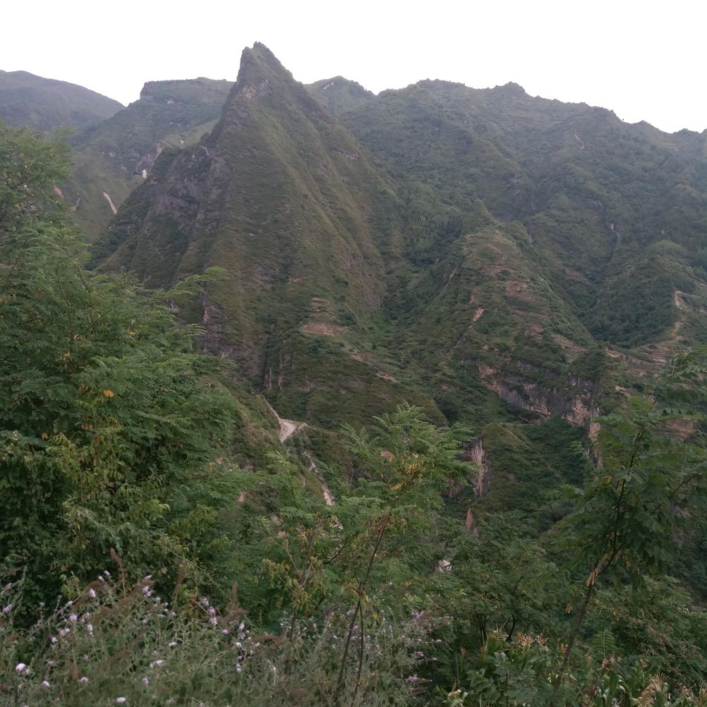 读学堂