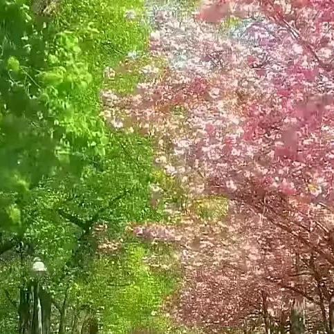 人生不易
