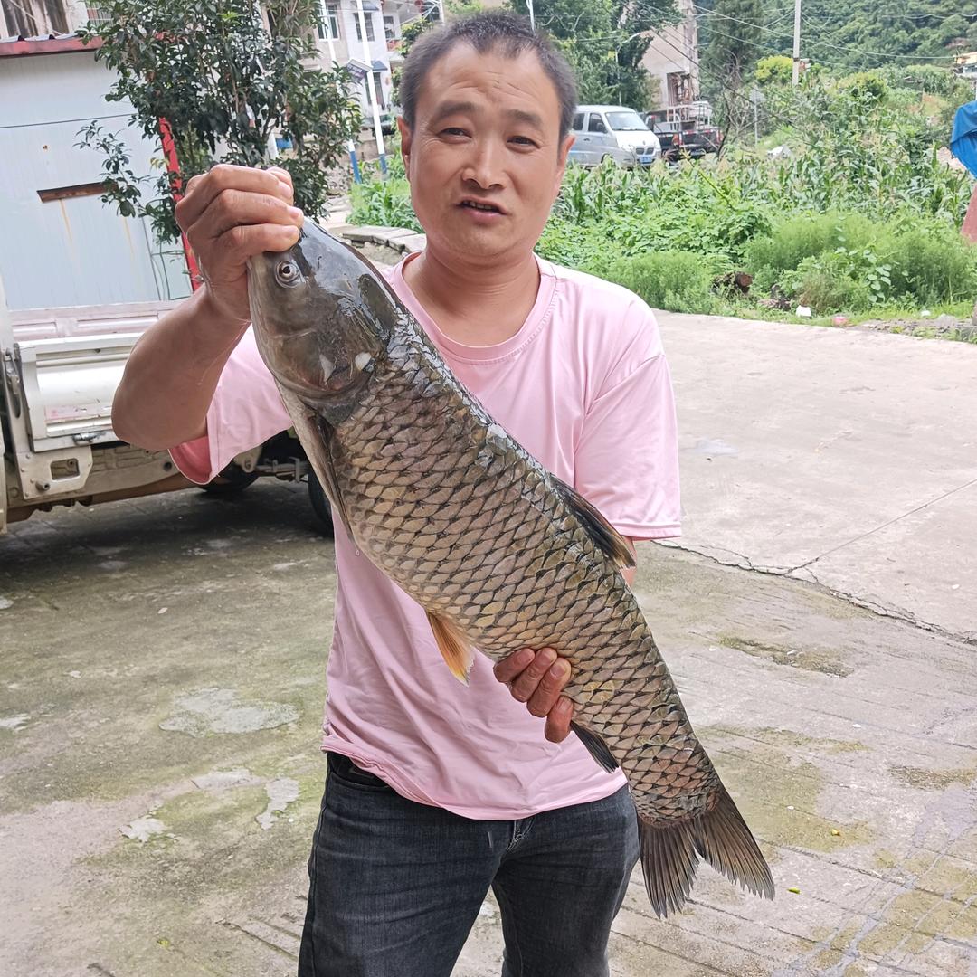 深拥意中人