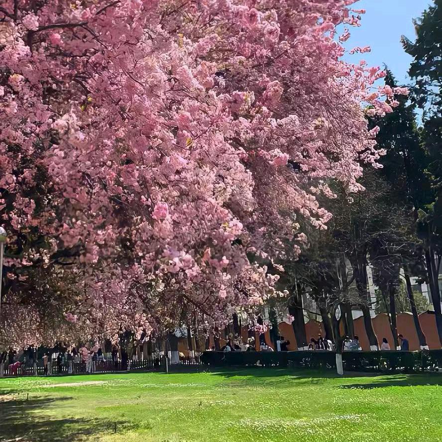 余生有你将就。