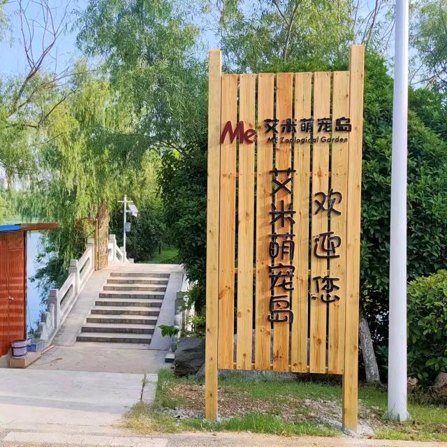 曙光艾米萌宠岛官方号