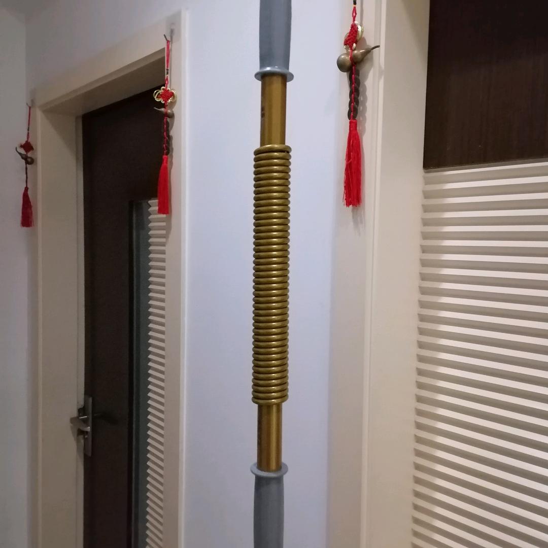 胡建力虎