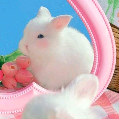 ˚₊✩‧₊(⌯͒o̶̶̷̤ ꀾ o̴̶̷