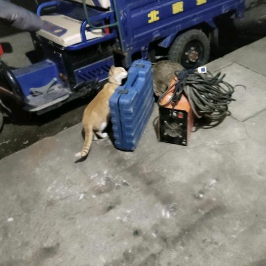 徐昌均