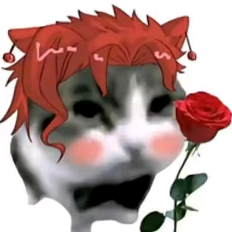 沅(找血仆)