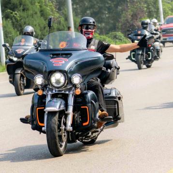 沙漠里的大鱼哥