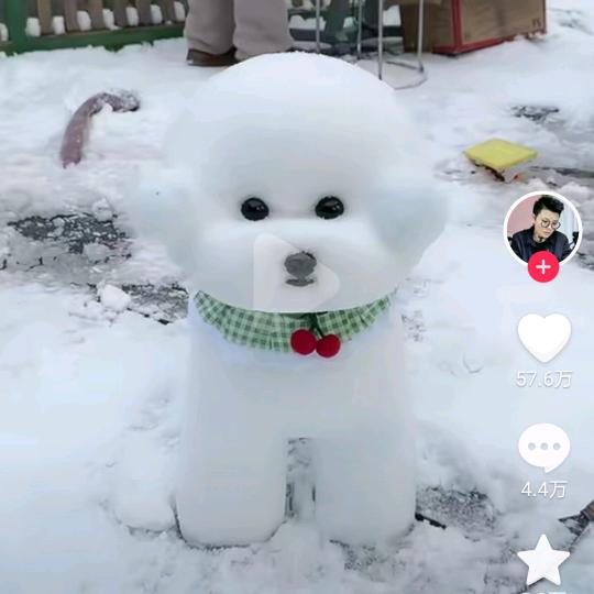 冬天的风好冷啊