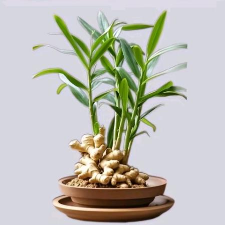 ☞♡顺遂无忧♡☜