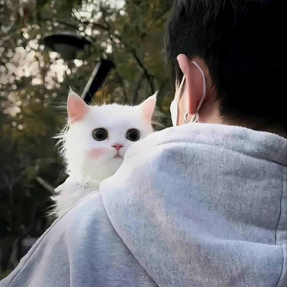 升升