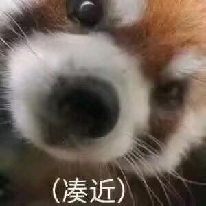 玄鈺鍋鍋
