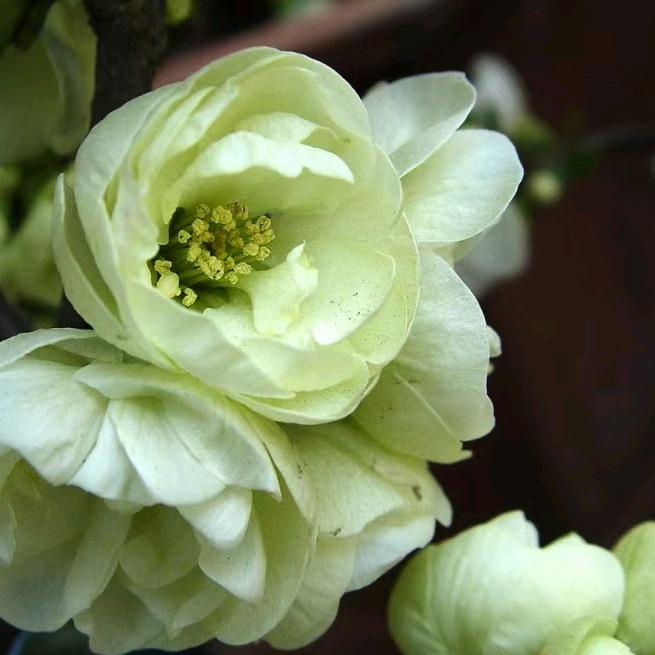 郝佬龚3891020475003