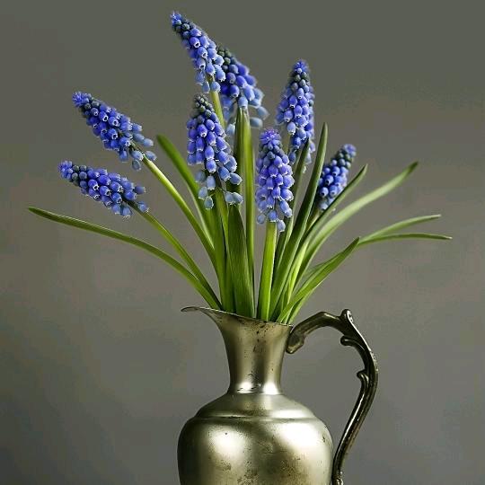 水草
