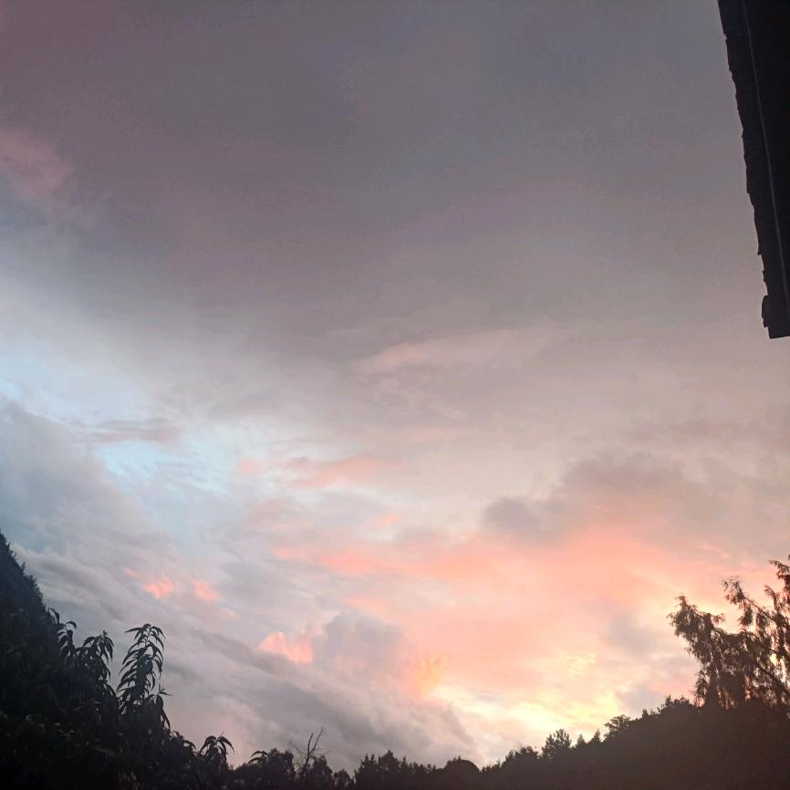 ᰔᩚ᭄醉💞ℛ之9꧔ꦿᩚ࿐🕊