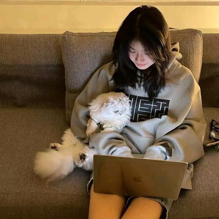 风暴·不焚者·砂糖桔树林卡丽熙暨全守护者