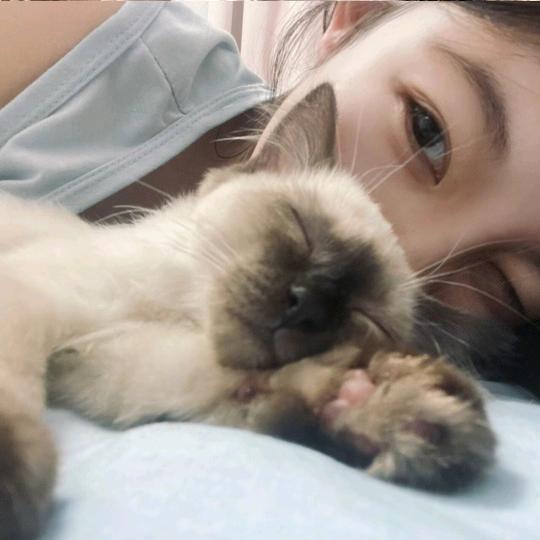 瑶阿瑶