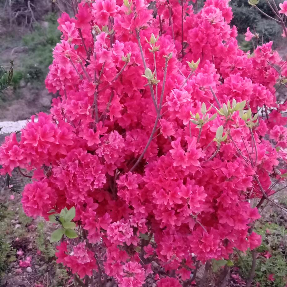 用户946696588   快乐一生