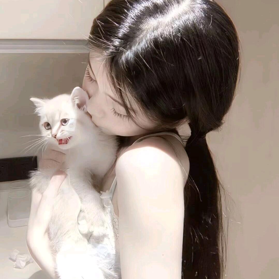 碎芝士