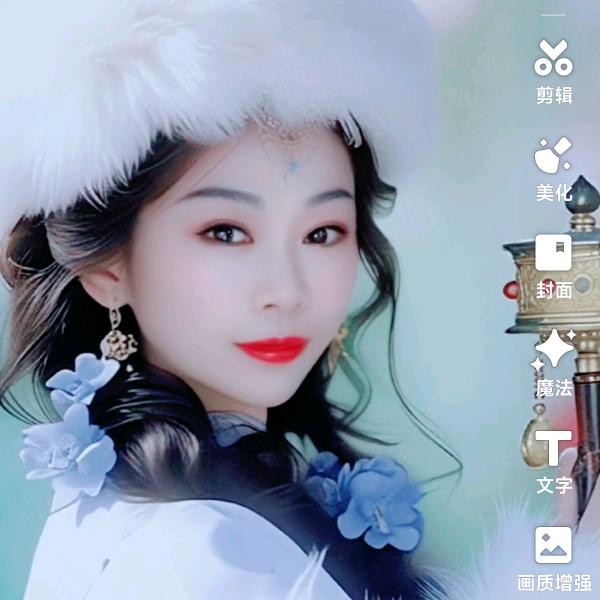 一枝梅