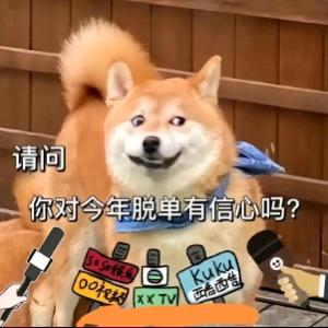 临沂相亲活动
