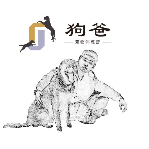 狗爸宠物寄养·训犬学校(魏善庄店)官方号