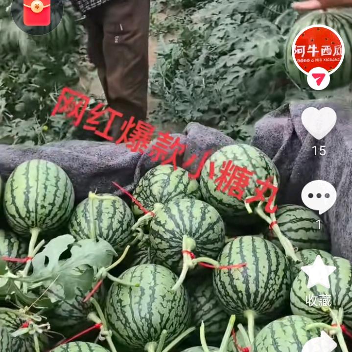 过客
