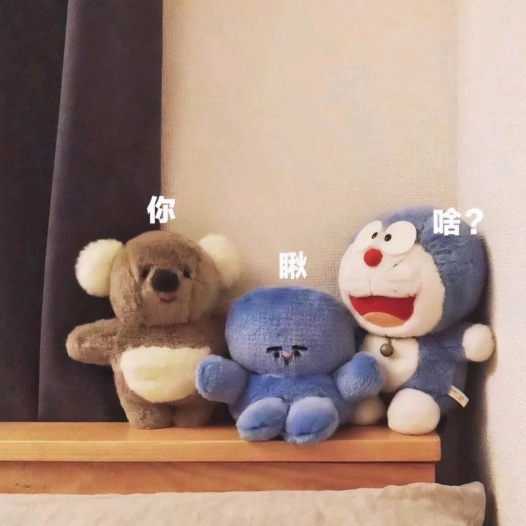 女寝的秘密