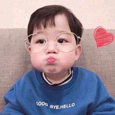 科子的鄂尔多斯生活