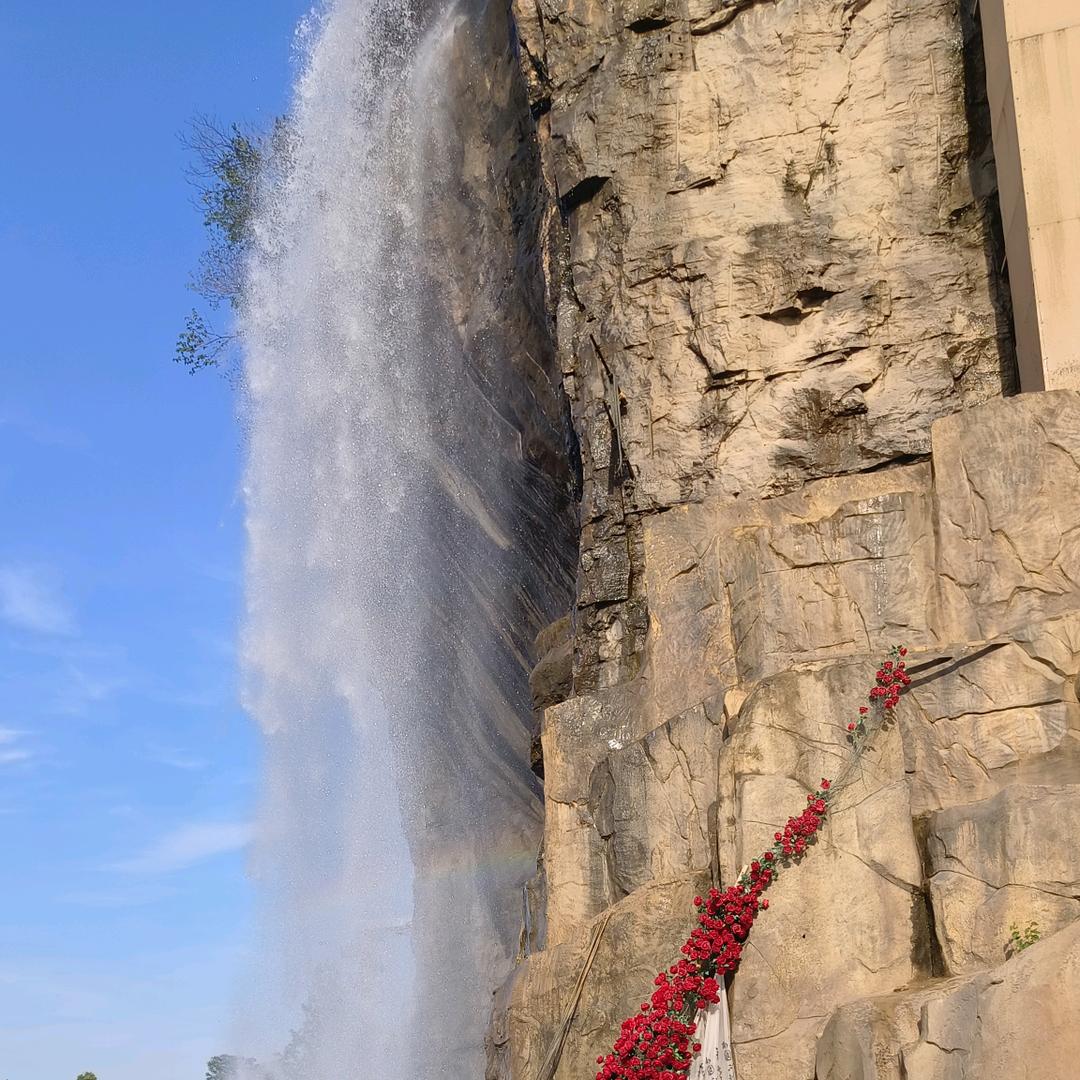 ➽葵花✿❀ 点❀✿薛ༀༀༀ手