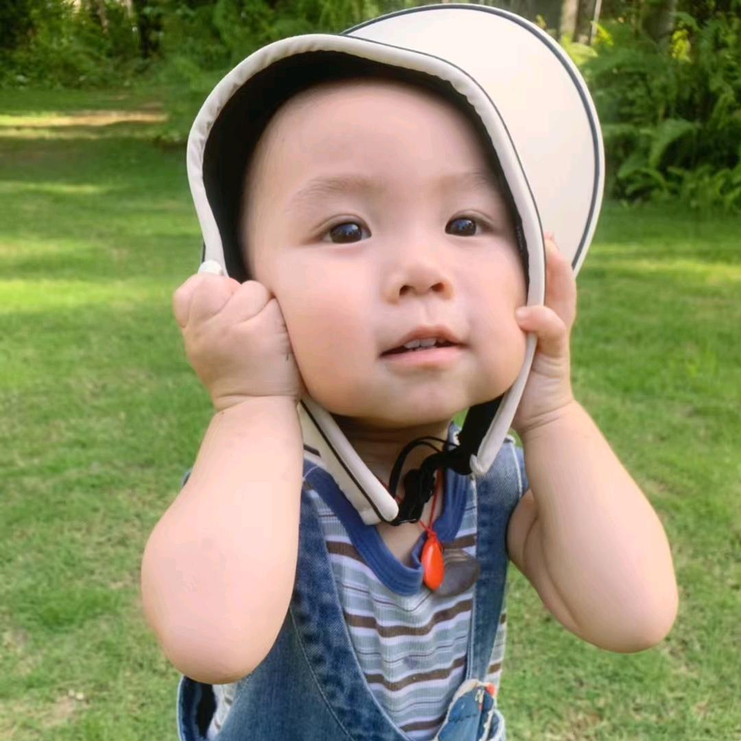 小龙崽升职记