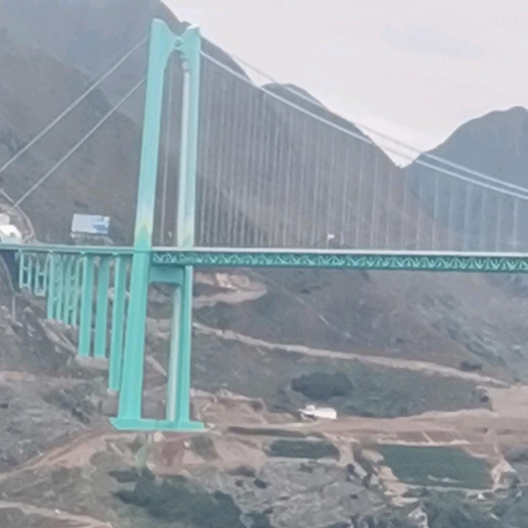 施情画意