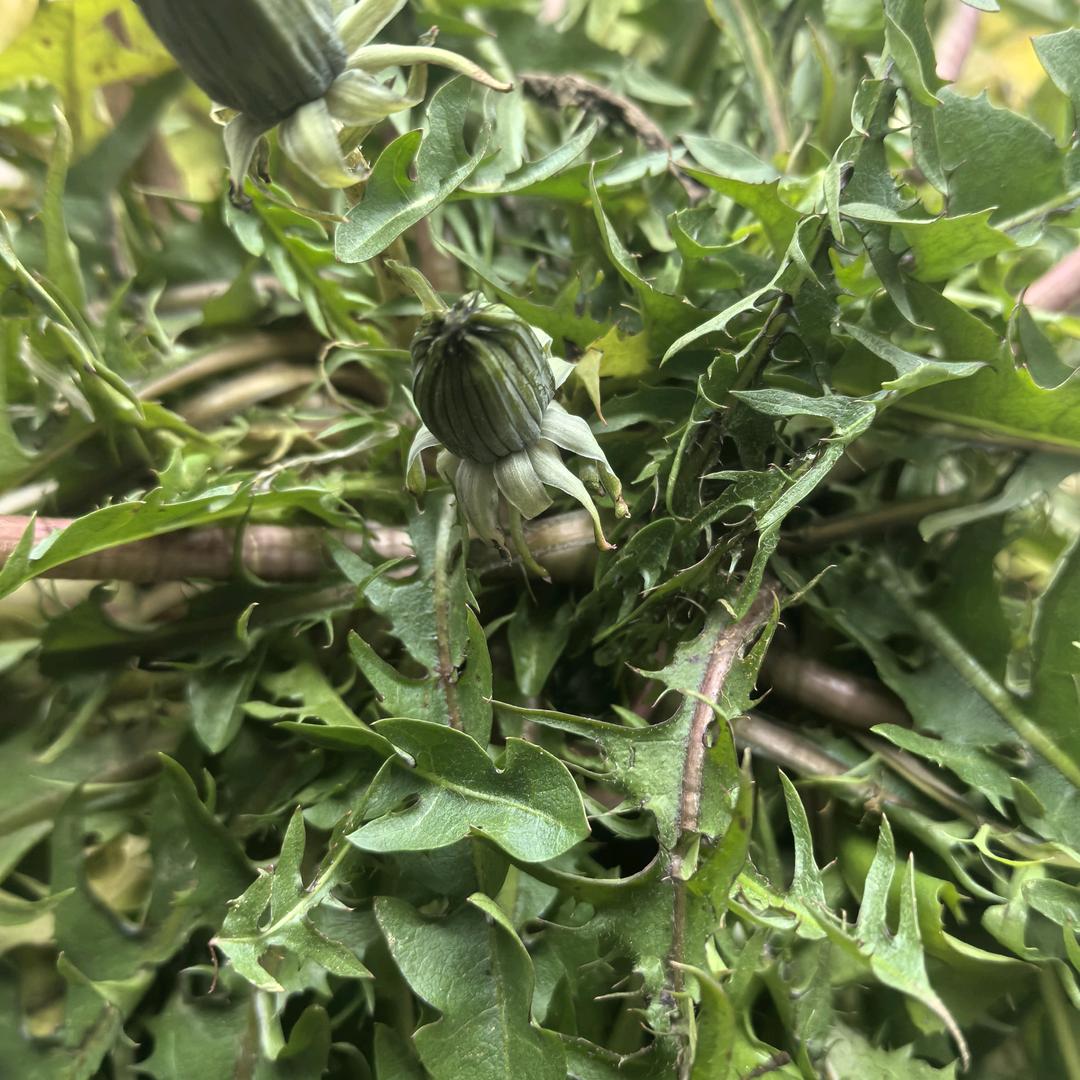慧姐说土方