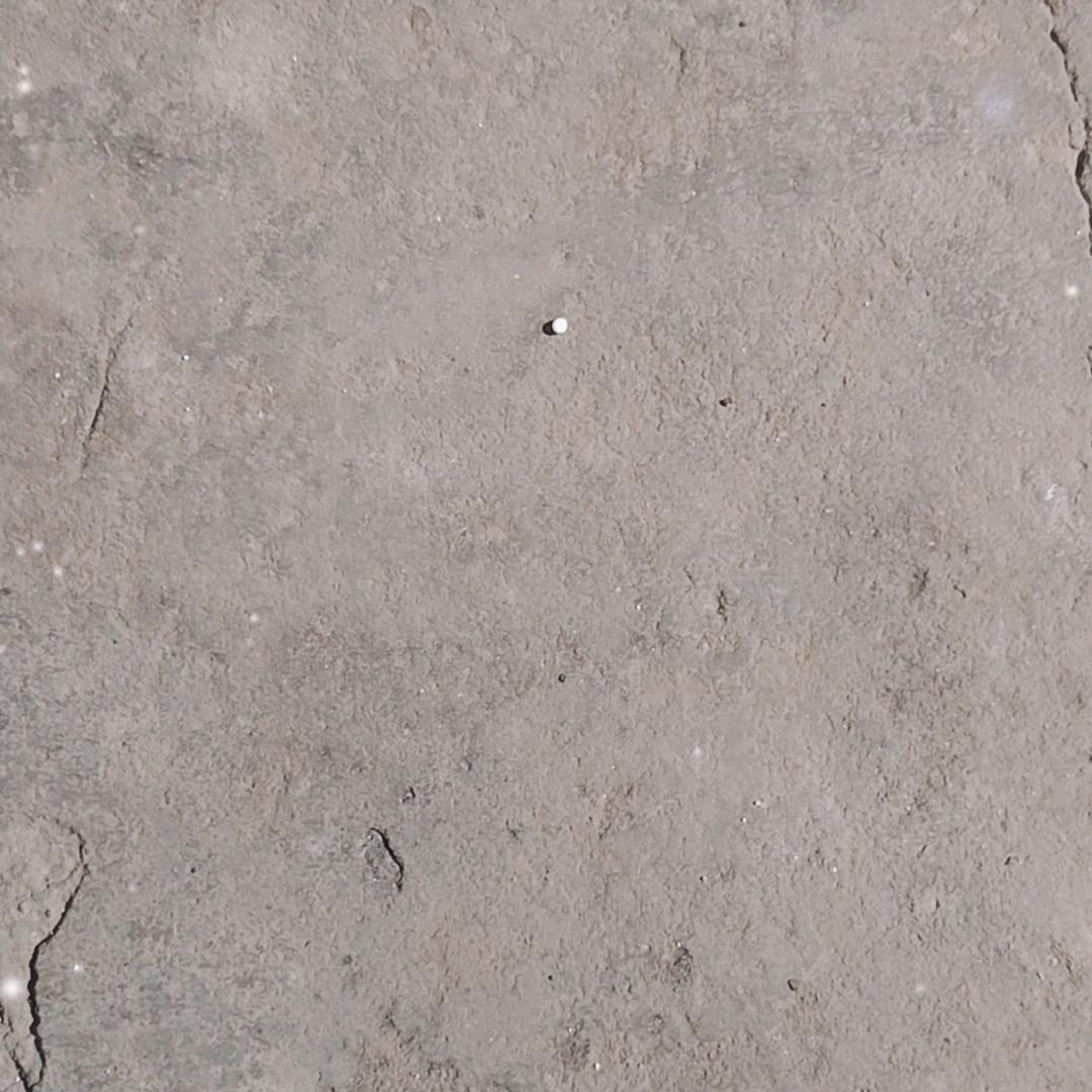 林子大了，什么鸟都有（连赞拉黑）