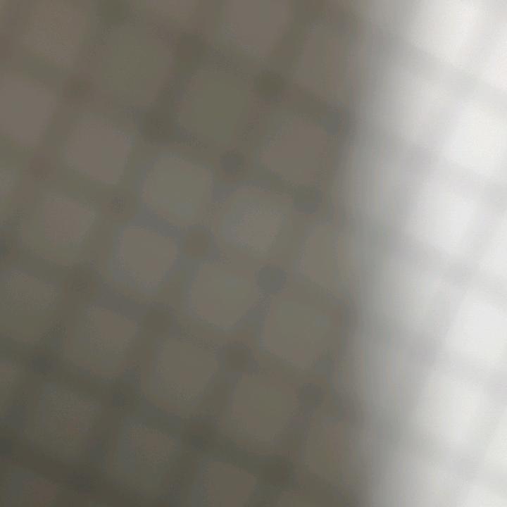 长期熟食喂养黑猪