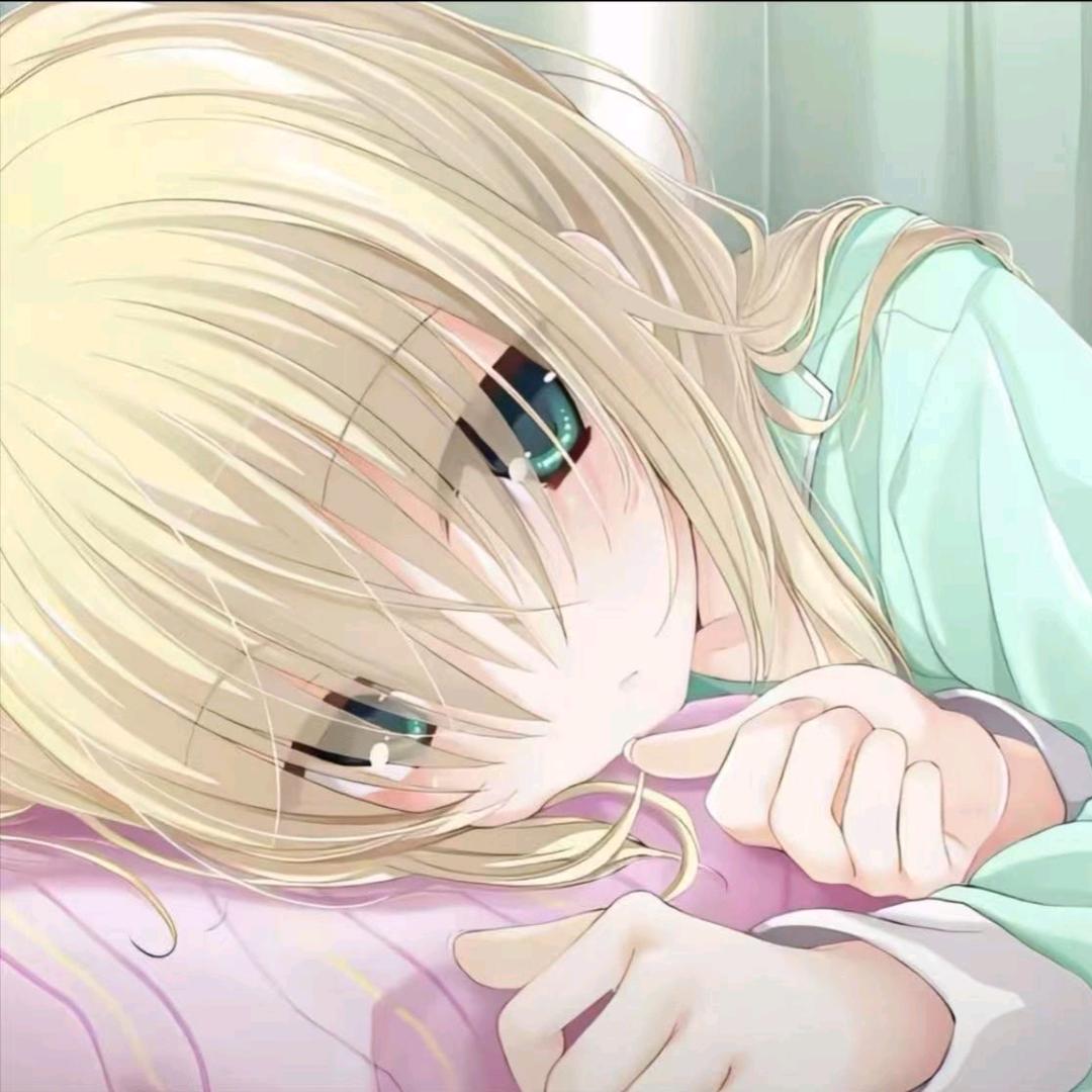 曲奇🍪