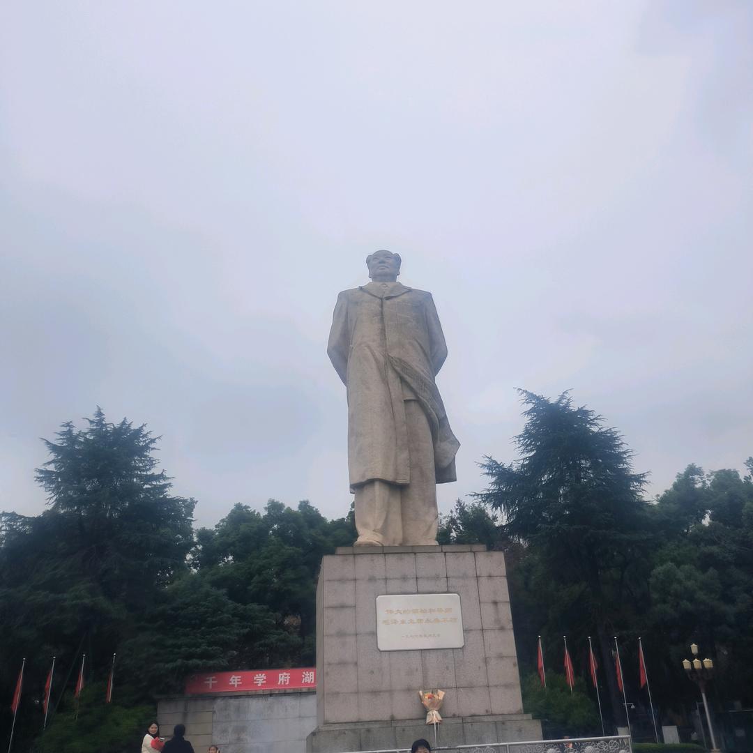 涛哥说