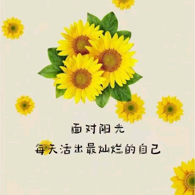不要等