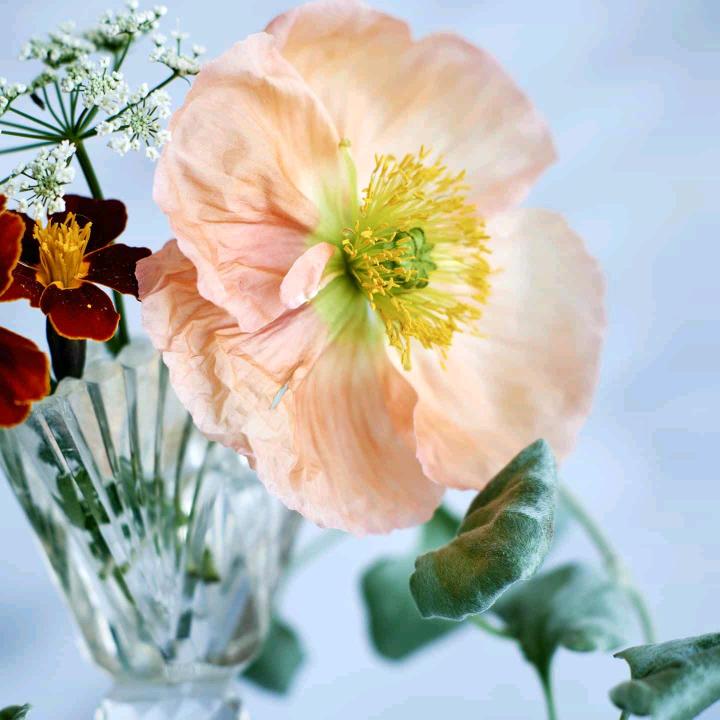 ⌓‿⌓平平淡淡(˵¯͒〰¯͒˵)