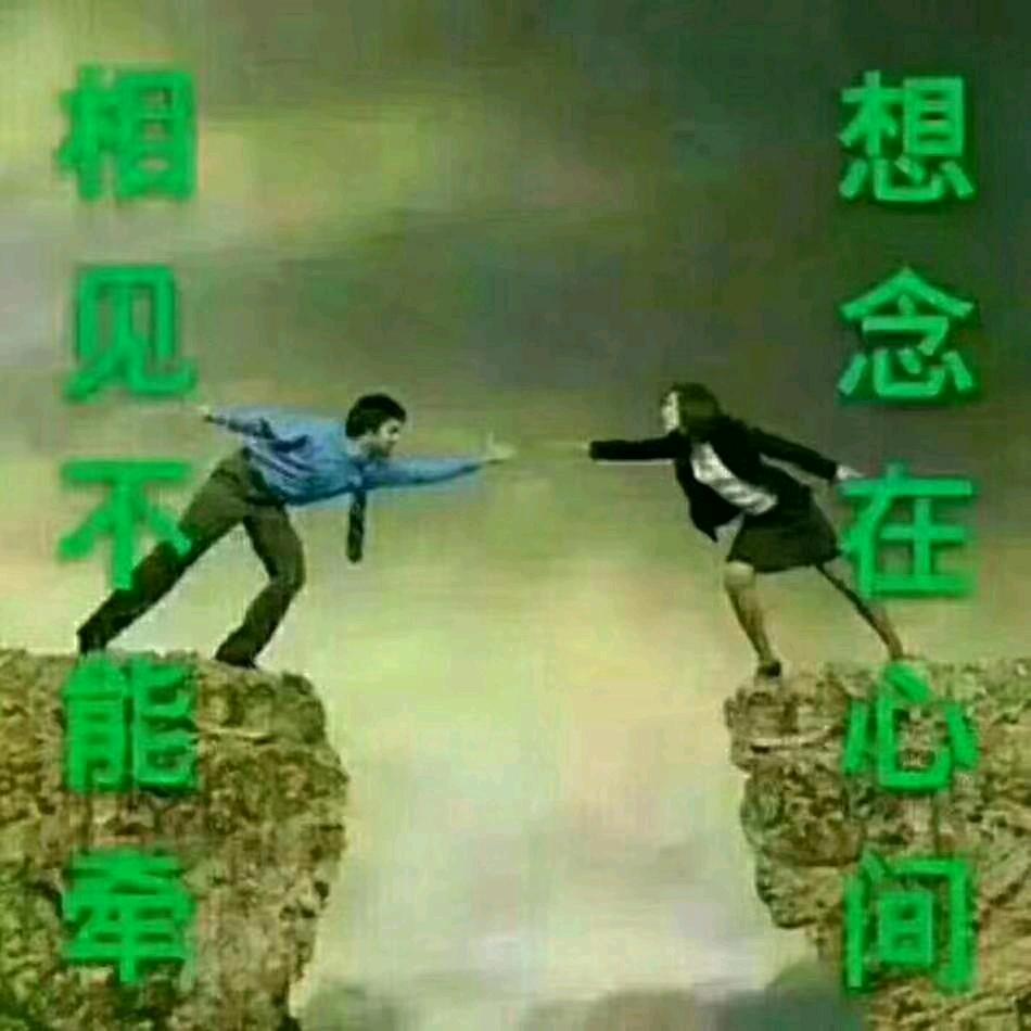 梦中蝴蝶👩‍❤️‍👩程