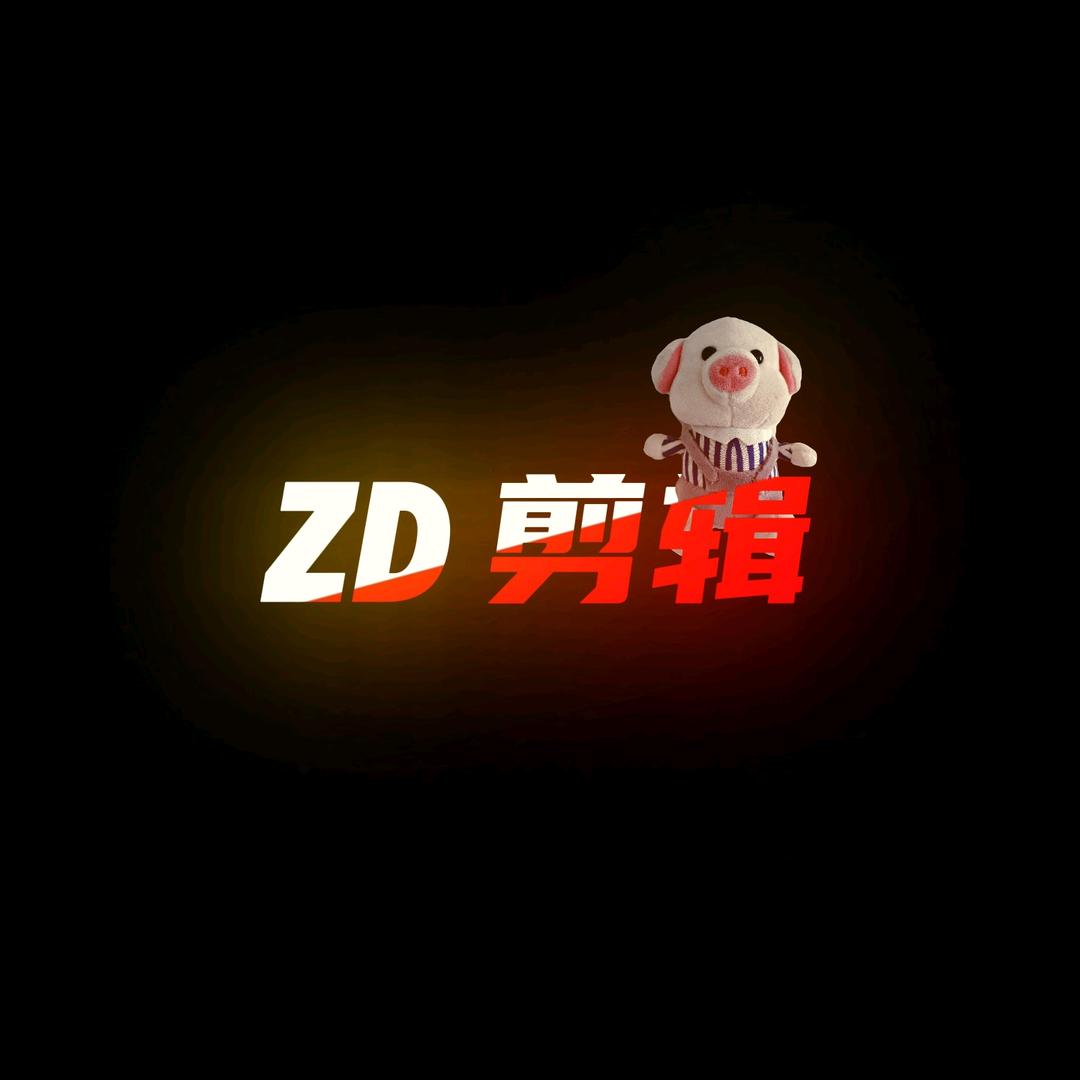 ZD剪辑教程