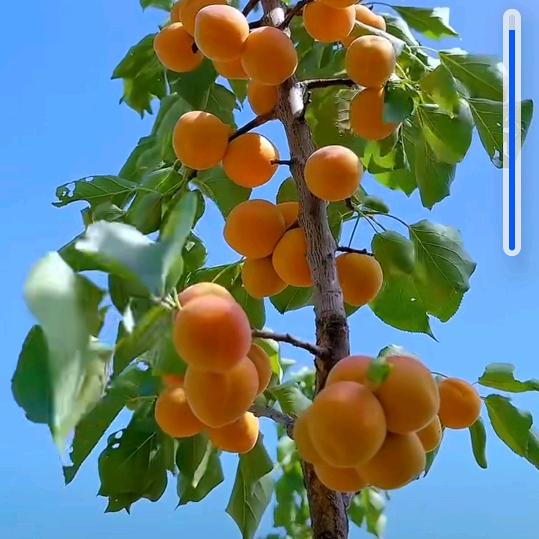 时间能平淡一切