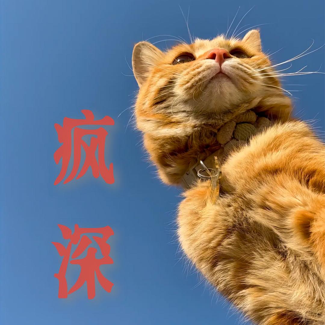 焰深M.