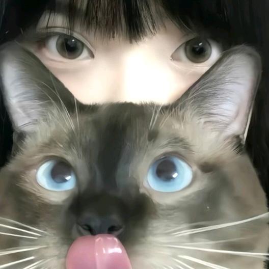 音符🎶（回关发）