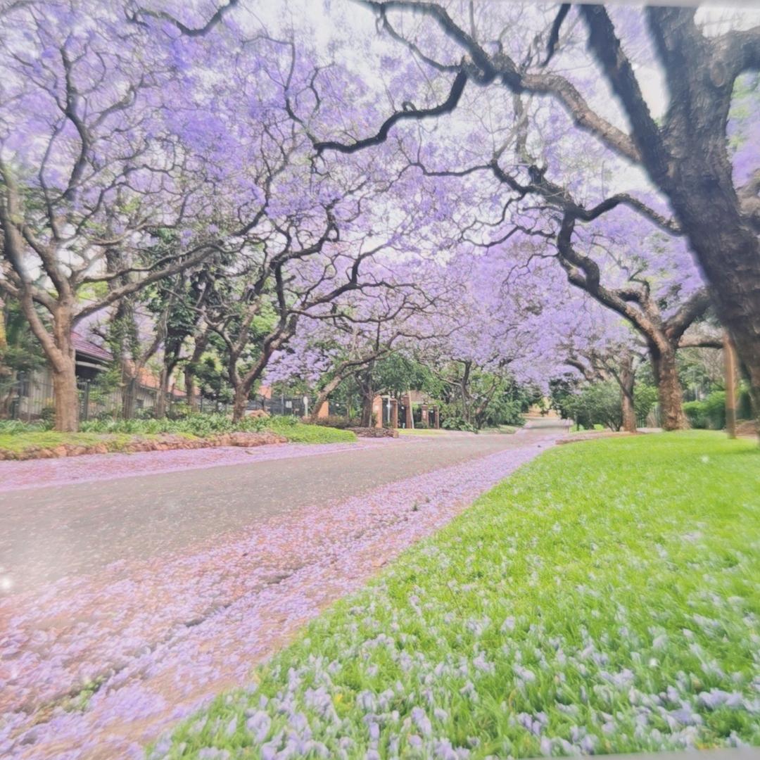 上的厅堂，下得球场……