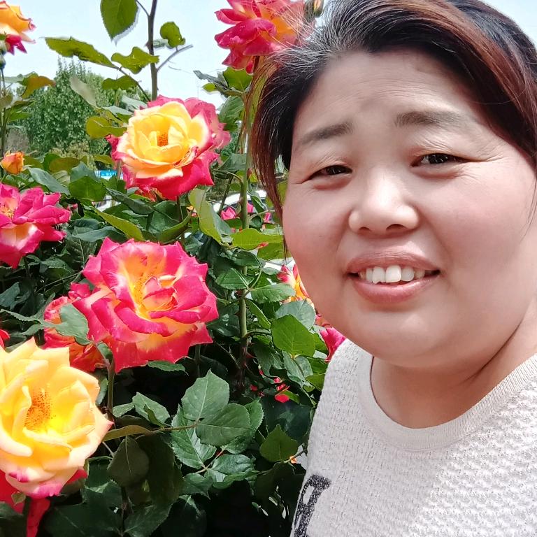 彩霞
