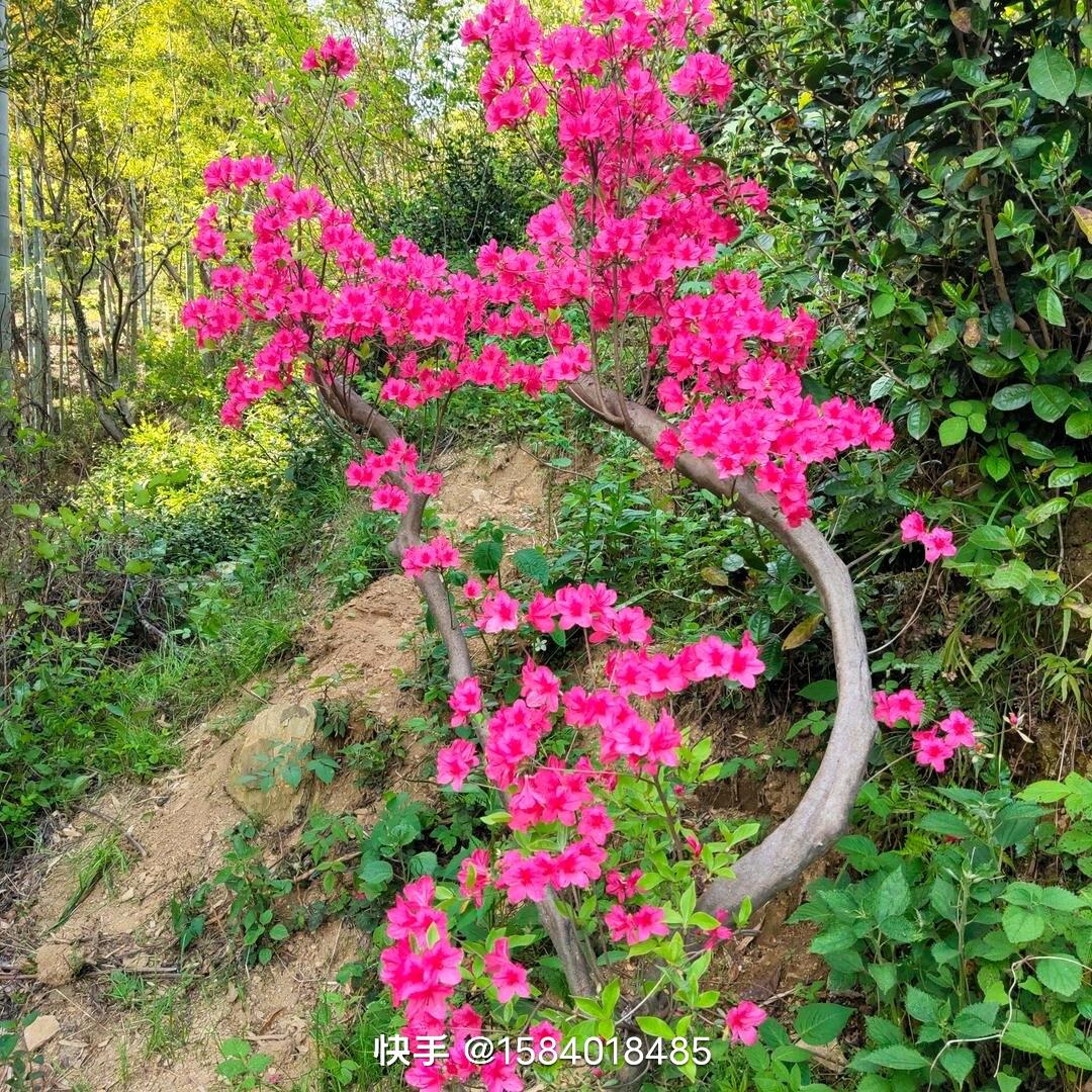 开心快乐每一天