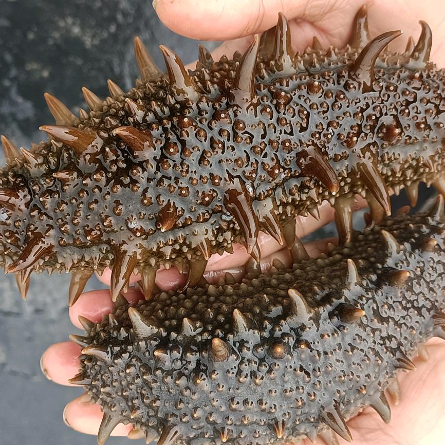 海底银行