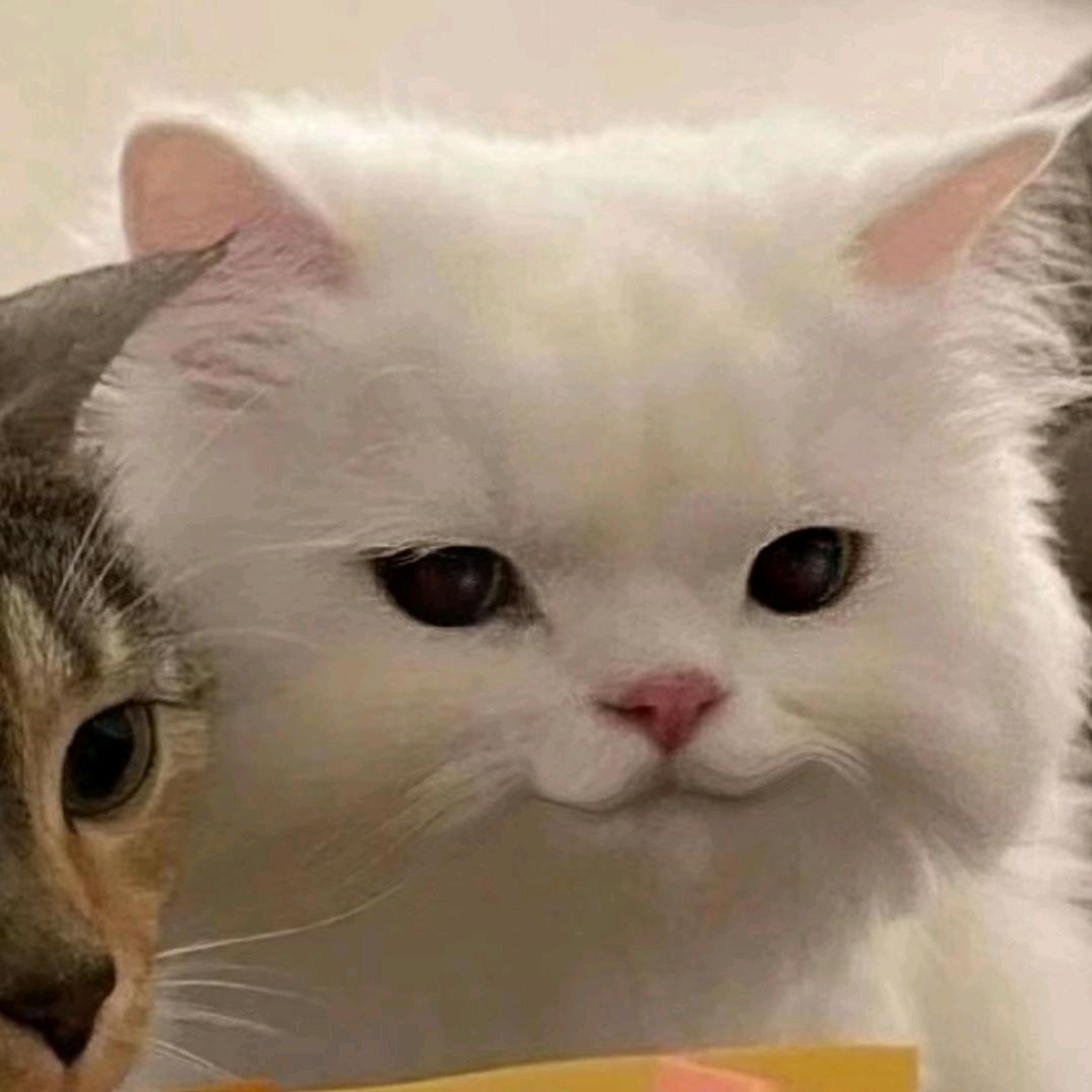DNF泡泡