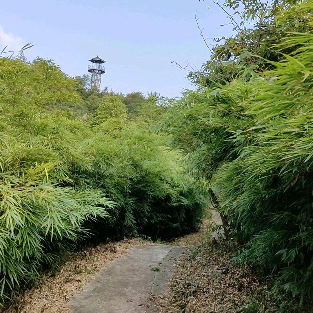 山哥！
